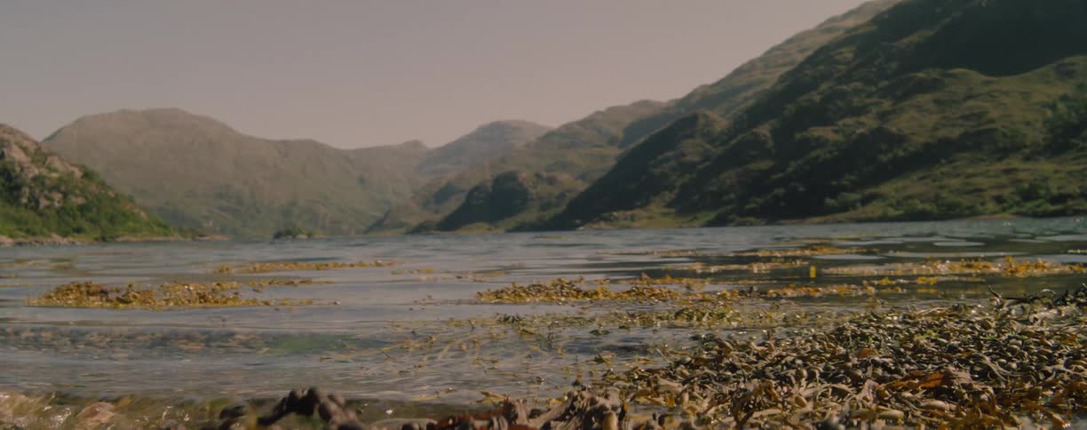 A serene lake shoreline with seaweed and green mountains