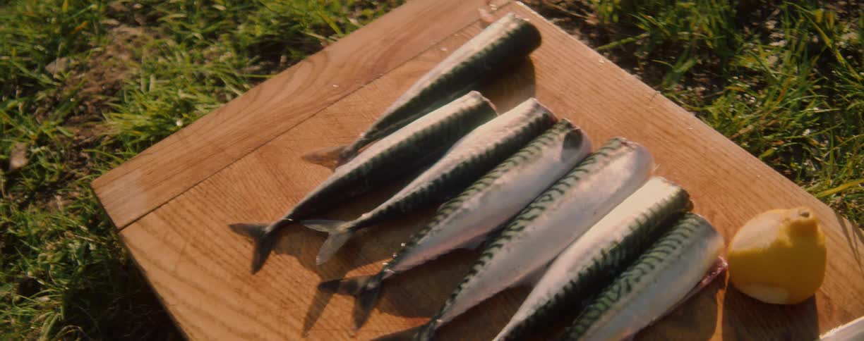 Based on the video there is a closeup shot of several raw mackerel fish laid out on a wooden cutting board the fish are arranged in a row and appear to be ready for preparation