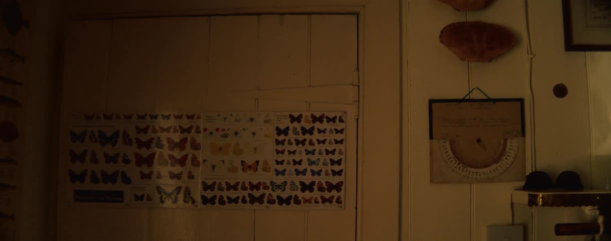 A room lined with wood and a wooden door with a poster describing different classes of butterflies hanging from it