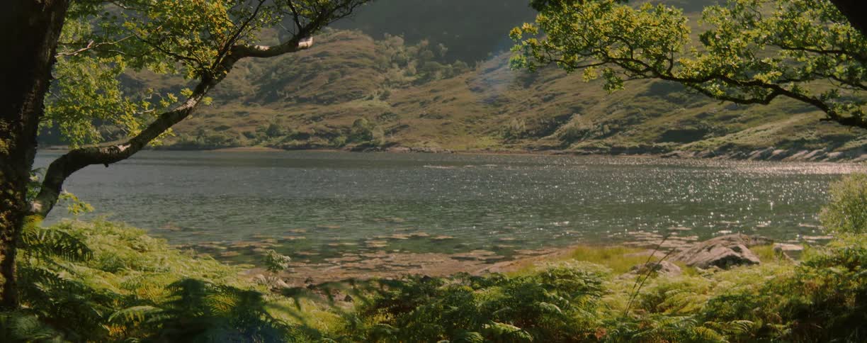 Lake surrounded by green mountains seen through trees