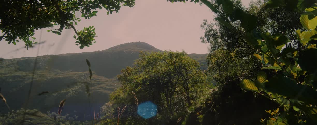 A static shot looks through foreground tree branches at a large distant green hill on a sunny day with a prominent lens flare