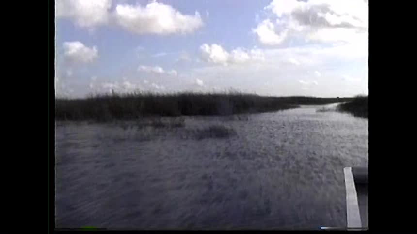 A boat moving along a creek surrounded by tall grasses at midday