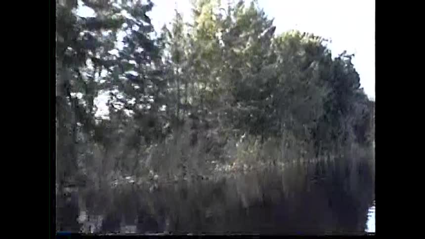 A video with a low quality grainy filter shows a wide body of dark water with trees and tall grass on the far bank that are reflected in the waters surface as the camera moves to the right