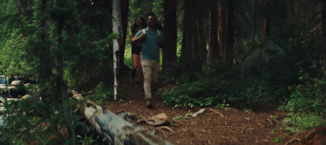 Friends are hiking along a forest trail surrounded by trees and greenery