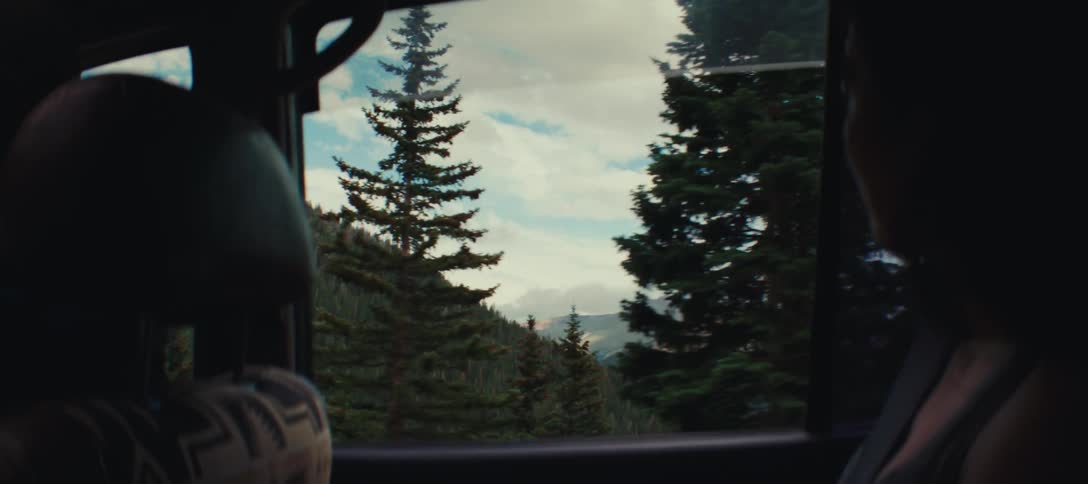 A passenger looks out the window of a moving vehicle at a mountainous landscape filled with pine trees and a cloudy sky