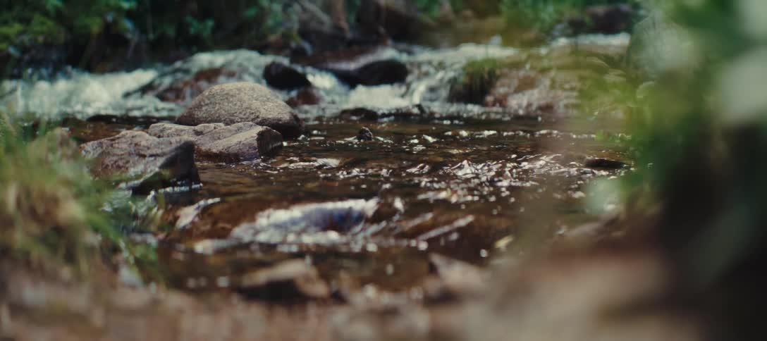 Clear stream water flows between rocks and vegetation