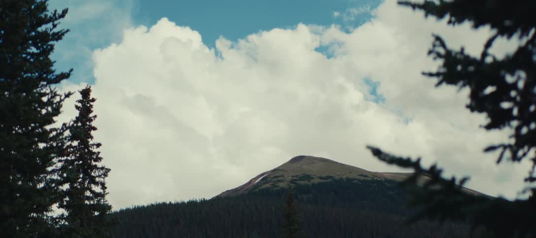 Forested mountain framed by trees under cloudy sky