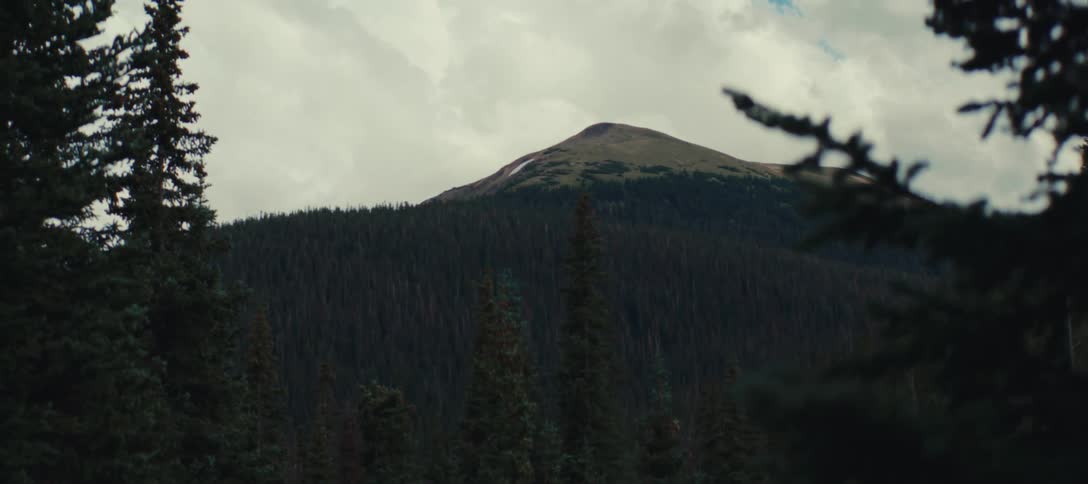 Tall trees surround the mountain