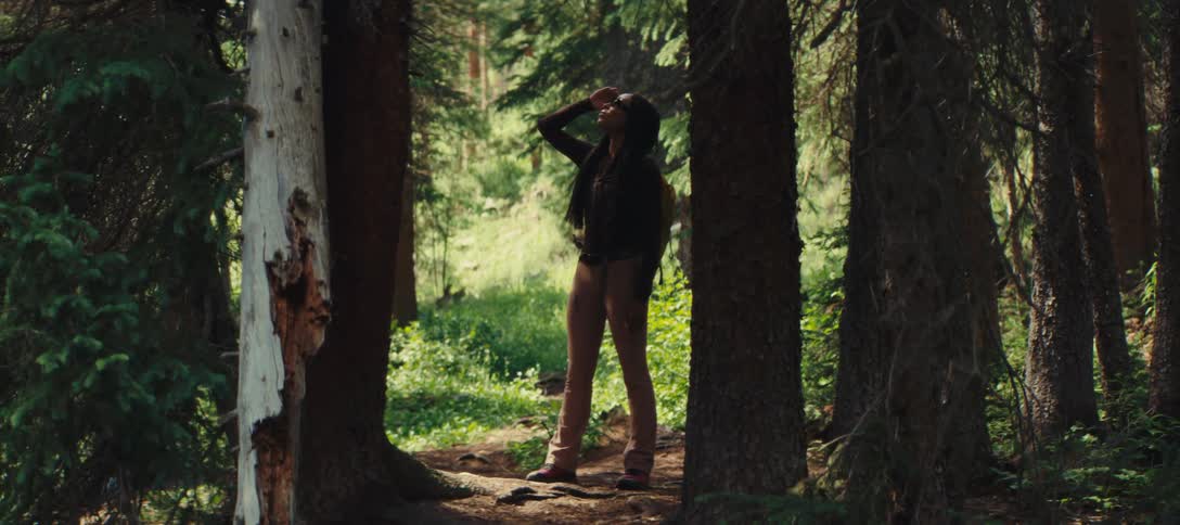 A woman in the middle of the forest looking up at the tops of the trees