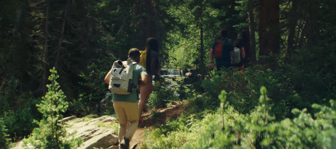 A group of hikers walk along a forest trail surrounded by trees and greenery