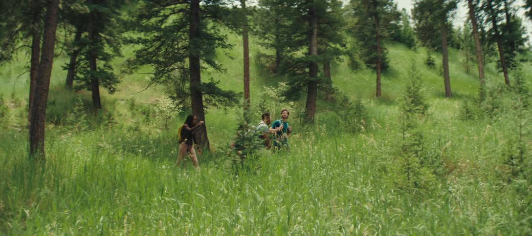 A group of friends is hiking through a green forest