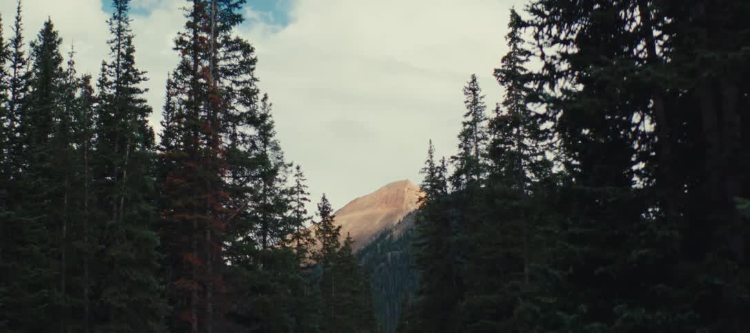 Tall pine trees frame a view of a mountain peak against a cloudy sky