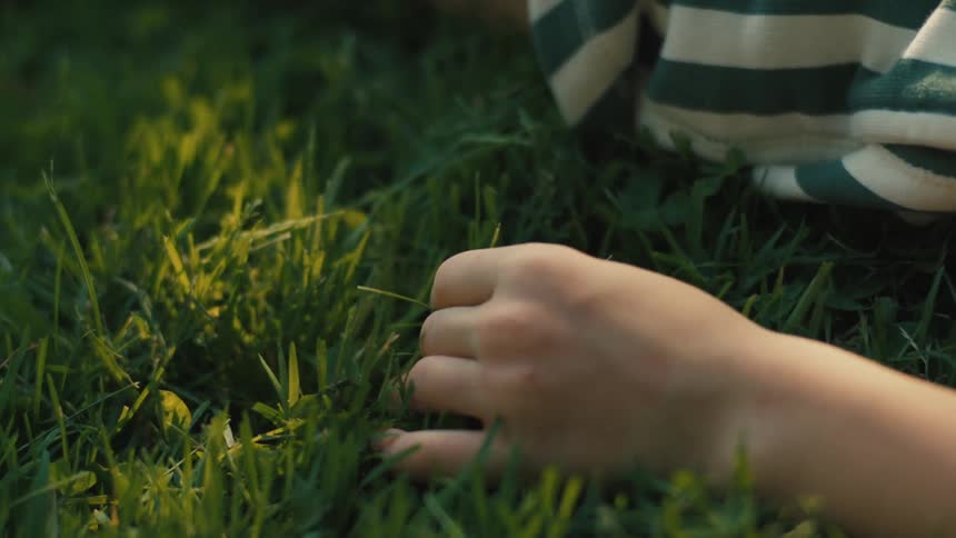 The video shows a childs hand running through a patch of green grass the sunlight shines on the grass creating a warm glow
