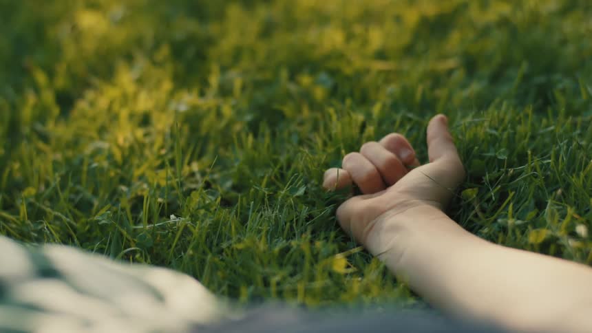 A hand plucks grass in the sunlight on a green lawn