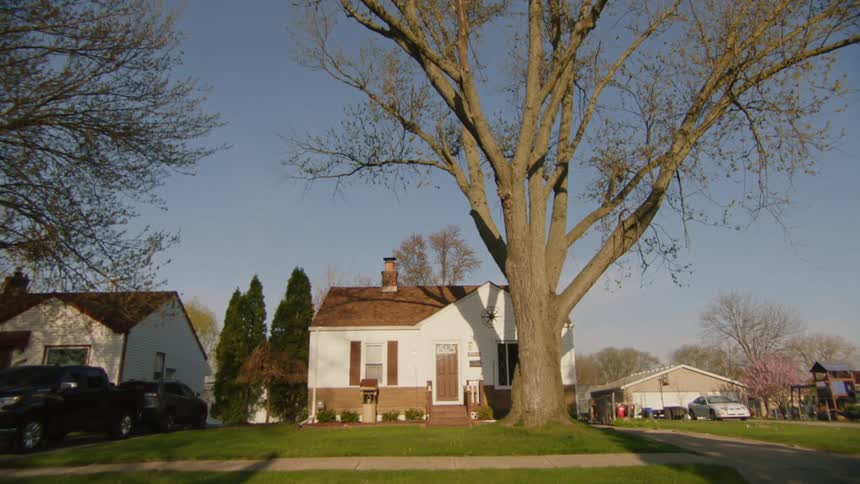 A large tree in front of a house