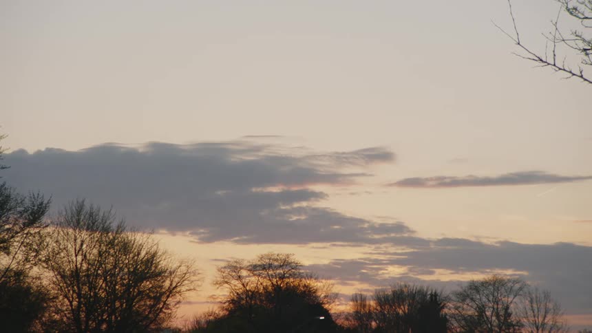 A soft sunset sky with scattered clouds above silhouetted trees