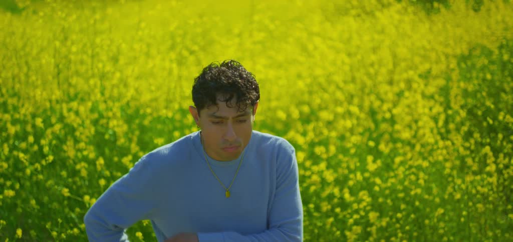 The video shows a medium shot of a man with curly hair standing in a field of tall yellow flowers he is looking down and appears to be in a state of contemplation the camera slowly zooms in on him