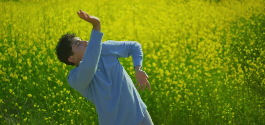 The video shows a man with curly brown hair in a field of bright yellow flowers he is dancing and gesturing with his hands and arms
