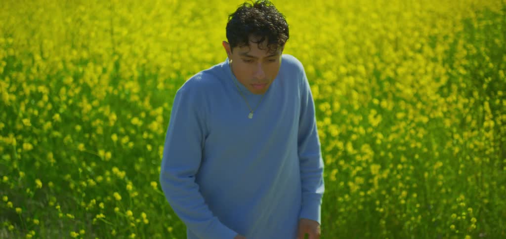 The video shows a man with curly brown hair in a field of bright yellow flowers he is dancing and gesturing with his hands and arms