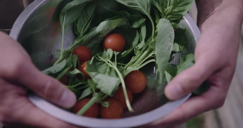 Pair of hands holding a metal bowl with fresh tomatoes