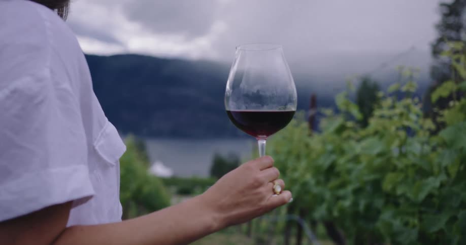 Woman in a grape plantation holding a glass of red wine