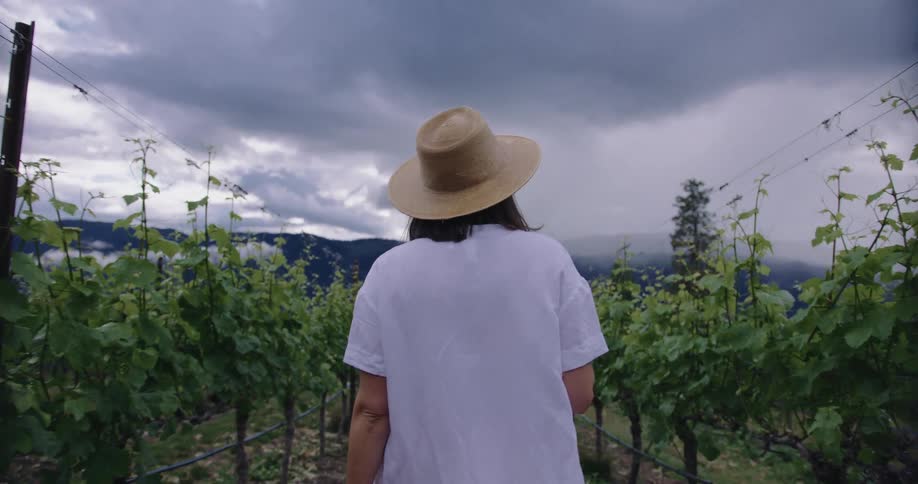 Woman in a hat on a cloudy day walking in a grape plantation