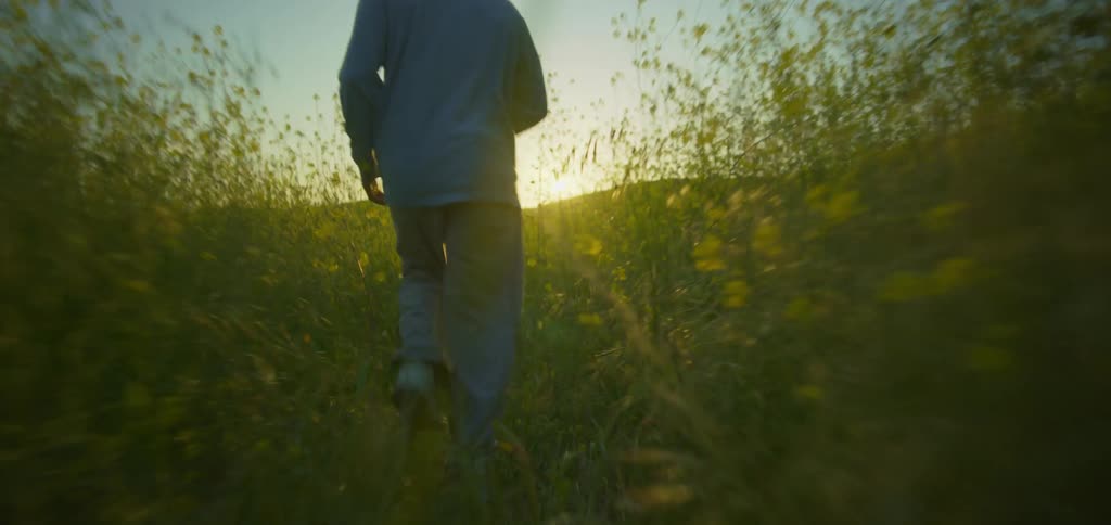 The man walks through the tall grass