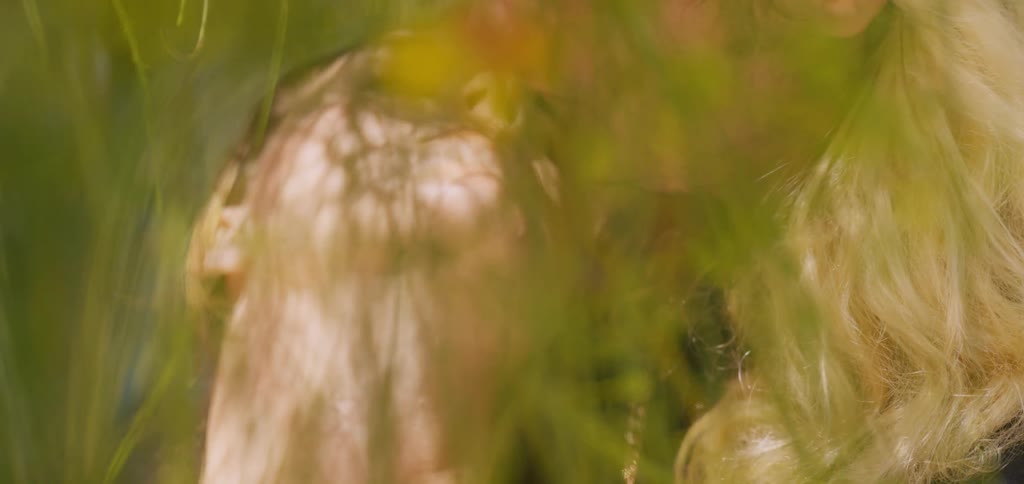 A man and woman hold each other in the forest