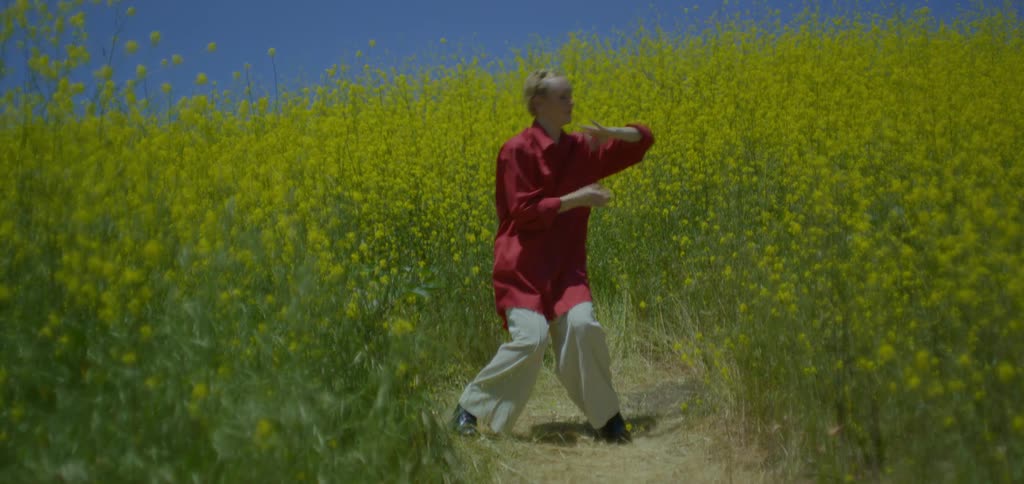 The video shows a wide shot of a person in a bright red shirt and lightcolored pants performing a slow expressive dance they are standing on a dirt path surrounded by a field of tall yellow flowers and green foliage under a clear blue sky