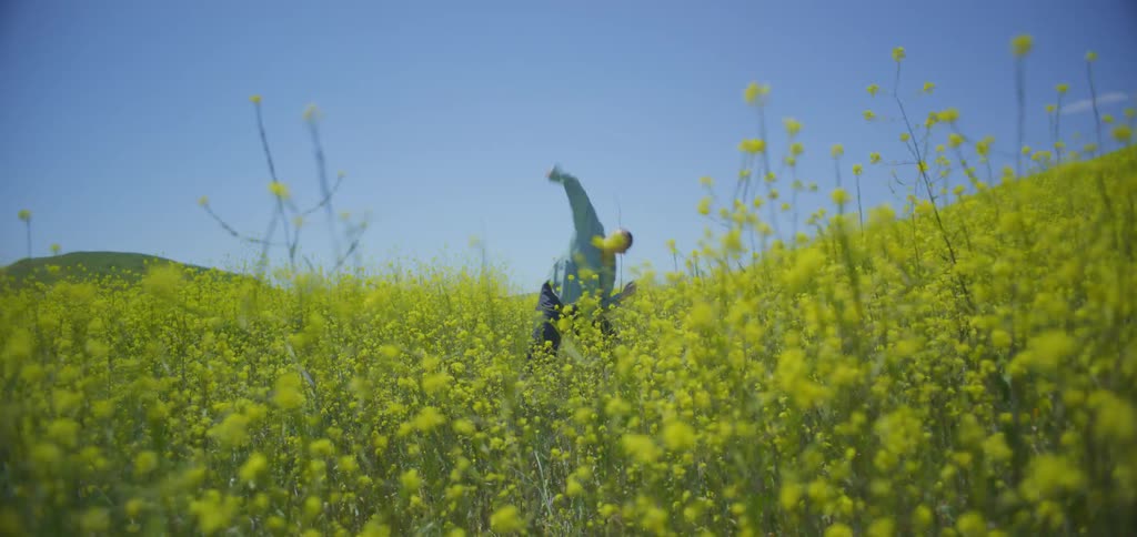 The video shows a person in a light blue shirt dancing in a field of tall yellow flowers they are moving gracefully and expressively against a bright blue sky