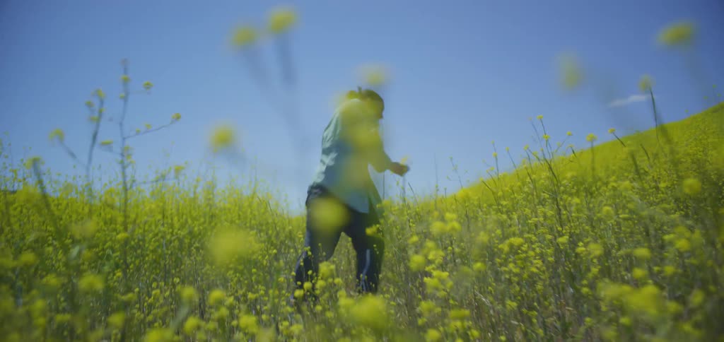 Woman in a field of yellow flowers making movement with her arms