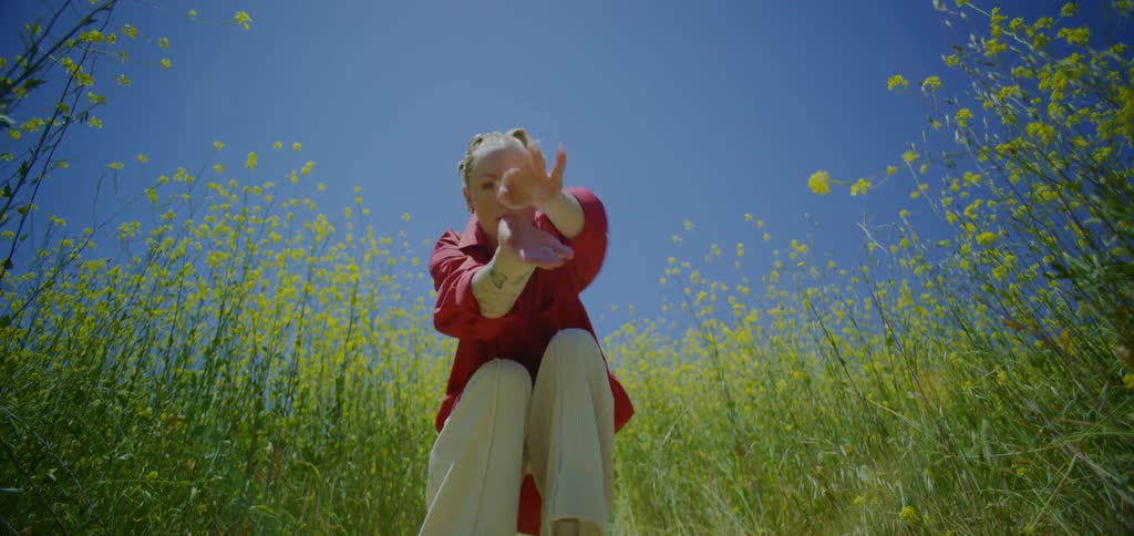 The video shows a lowangle shot of a person in a red shirt and white pants standing in a field of tall yellow flowers under a clear blue sky the camera then zooms in as the person performs a slow expressive dance kneeling down to face the camera