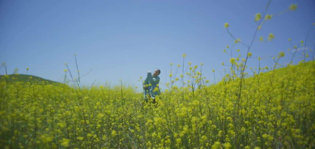 The woman is dancing in the grass in the distance