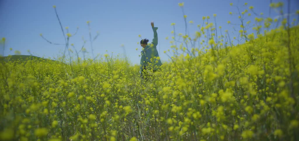 Woman dancing in a yellow flower field
