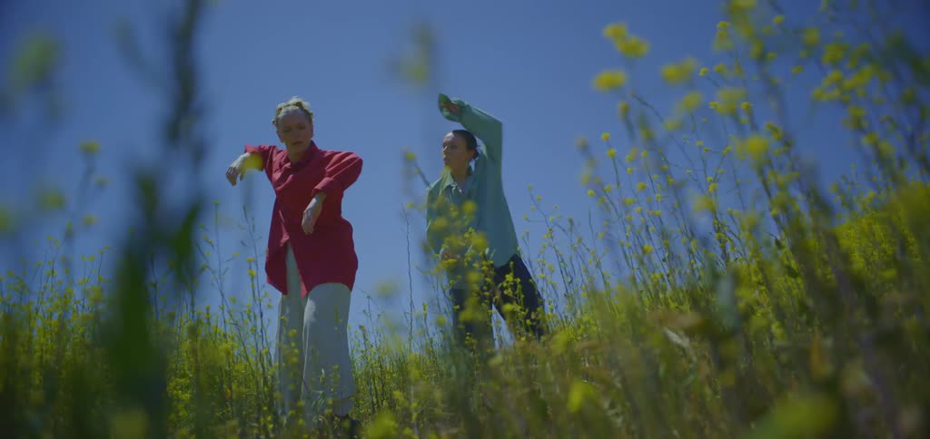 Two women do tai chi in the grass
