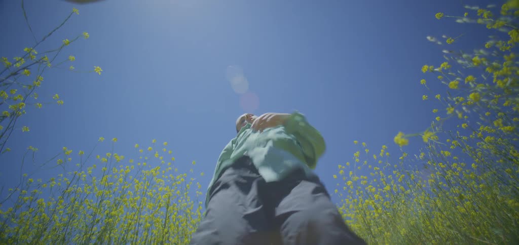 The video shows a person in a light blue shirt dancing in a field of yellow flowers under a clear blue sky the camera captures them performing slow expressive movements