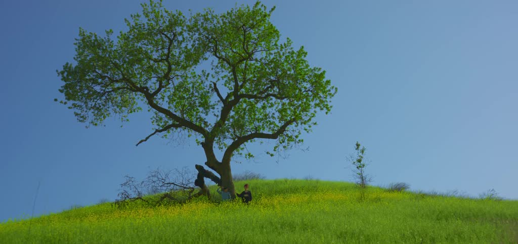 Two people sitting under a tree