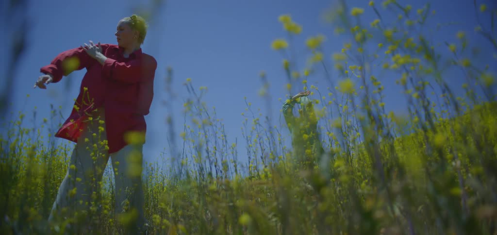 Two women perform shaolinstyle dance moves in a tall grass field at midday