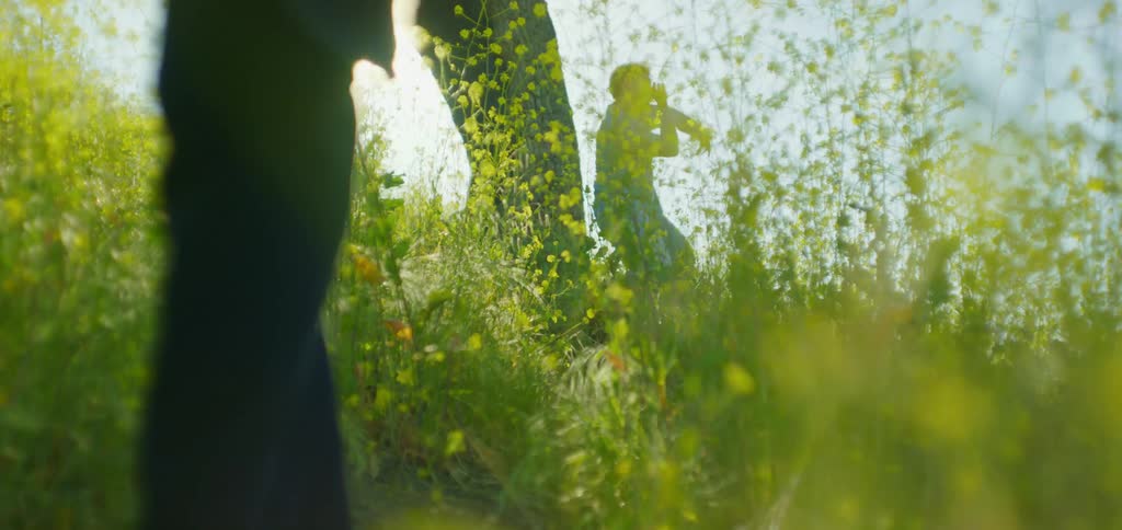 Armed man in the background is observed by a figure in the foreground among wildflowers