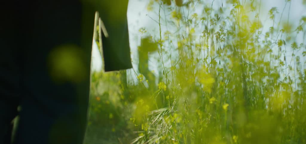A person is walking through the tall grass on a sunny day