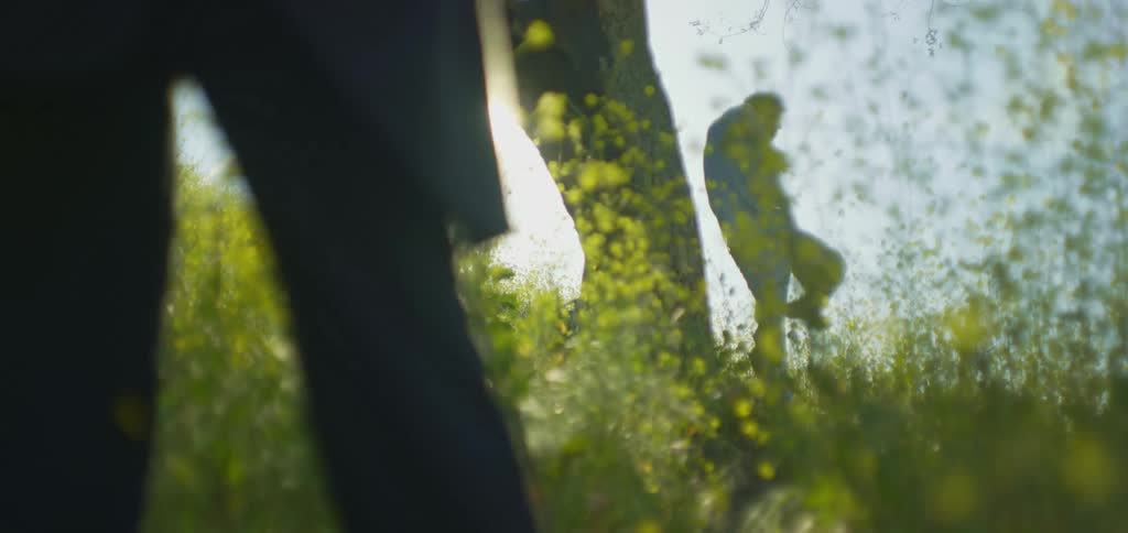 A blurred and out of focus view shows a person wearing a dark jacket and pants walking towards a man dancing near a tree in a field of yellow flowers with intense sunlight in the sky