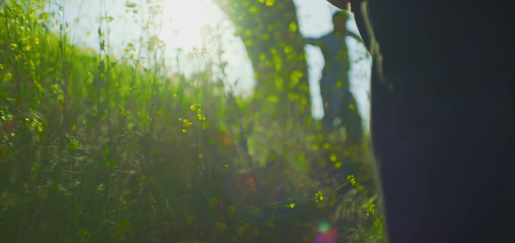 A person walking through plants and tall grass headed toward a tree where a man is dancing