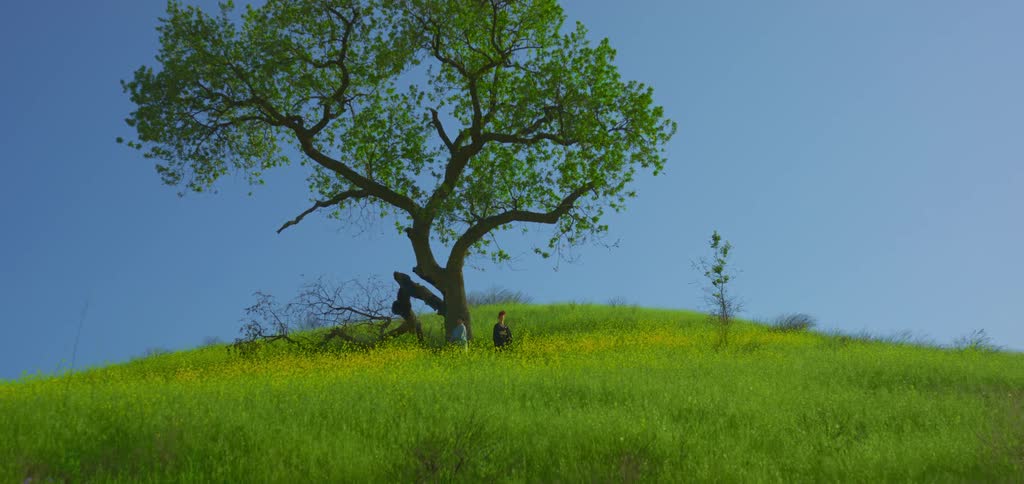 One friend dances while another sways as the two friends stand under a tree on a hill