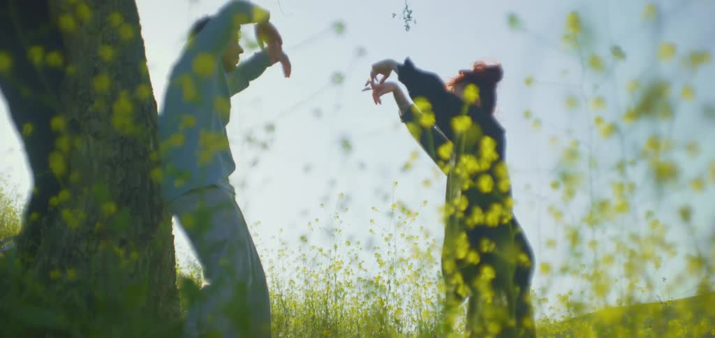 Man and woman in a field dancing together