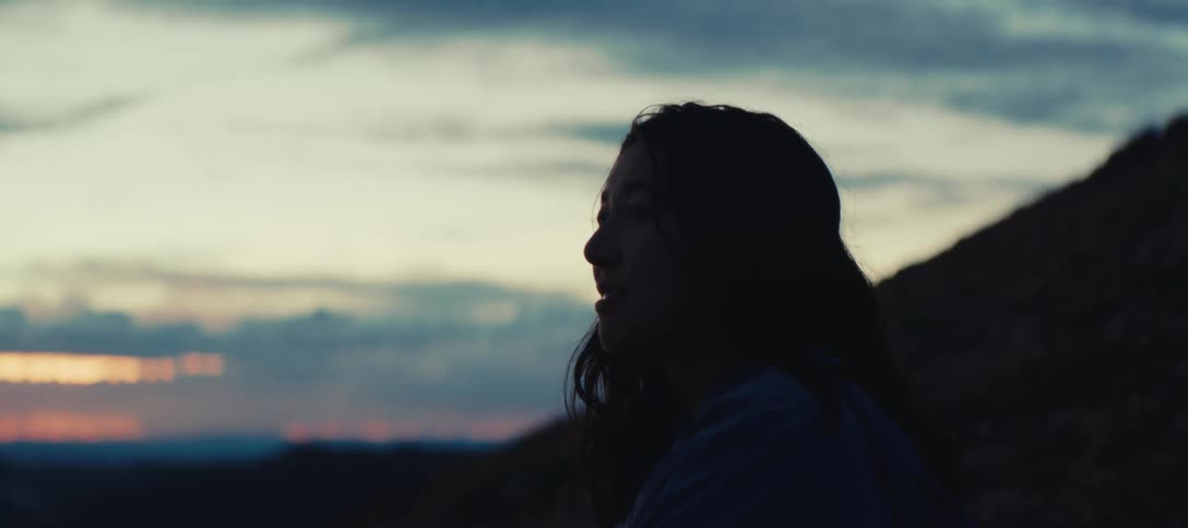 Silhouette of a woman gazes at the horizon at dusk