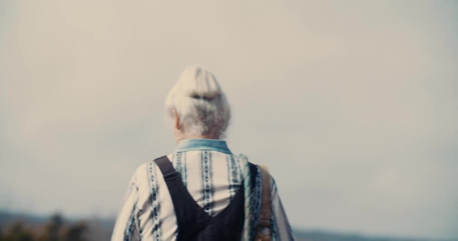 A person with white hair styled in a bun is seen from behind they are wearing a striped blue and white shirt with dark overalls the person is looking out at a blurry hazy horizon