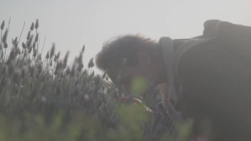 A sundrenched closeup shot of a man sniffing a lavender plant in a field