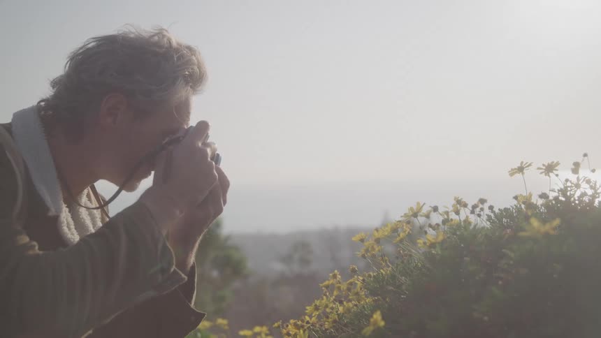 A photographer with messy hair kneels in a field of yellow flowers looking through the viewfinder of their camera the background is a soft hazy blur and the scene is lit by bright natural sunlight