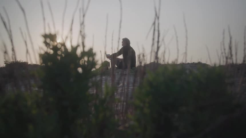 Man sitting in an open field at sunset seen through branches and vegetation