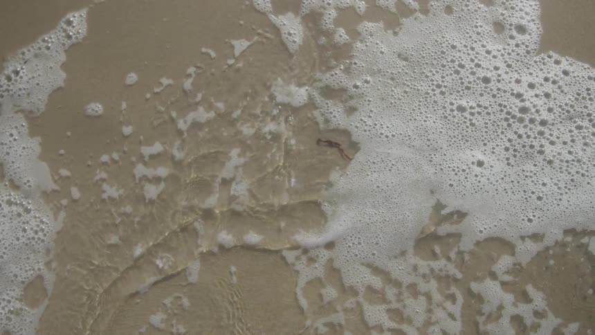 White ocean foam with bubbles that wash up onto a flat tan colored sandy beach before receding